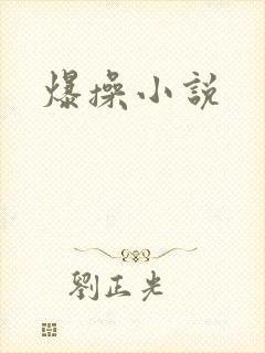 爆操小说