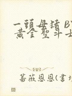 一头母猪 BY 黄金圣斗士