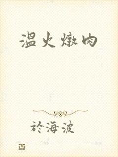 温火炖肉