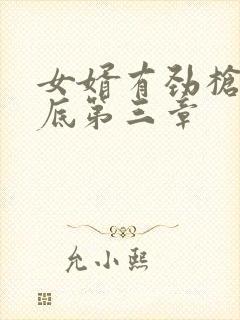 女婿有劲枪枪到底第三章