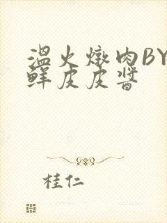 温火炖肉BY海鲜皮皮酱