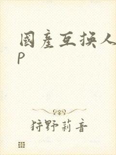 国产互换人妻4p