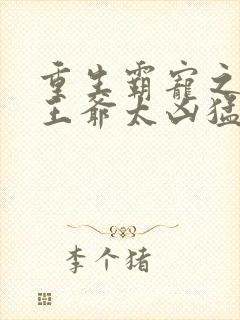 重生霸宠之摄政王爷太凶猛