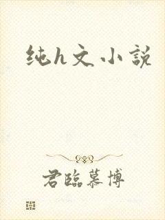 纯h文小说