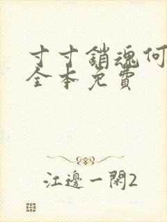 寸寸销魂何生祥全本免费