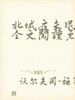 北城夜未眠小说全文阅读免费