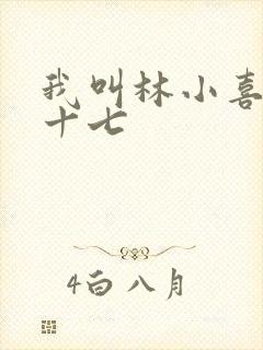 我叫林小喜今年十七