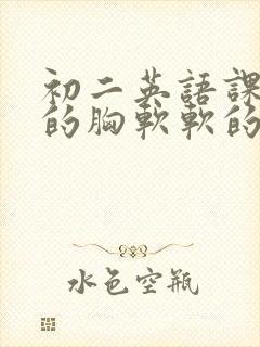 初二英语课代表的胸软软的