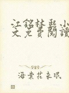 江铭林熙小说全文免费阅读