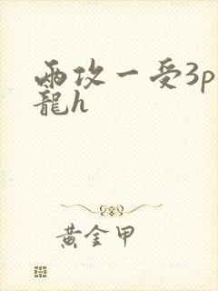 两攻一受3p双龙h