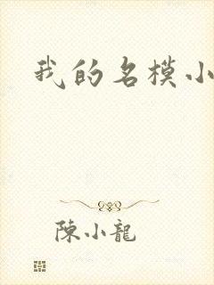 我的名模小娇妻