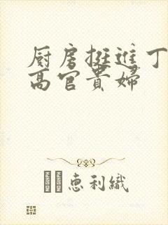 厨房挺进丁字裤高官贵妇