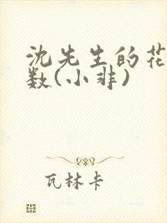 沈先生的花式调数(小非)