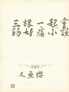 三根一起会坏掉的好痛小说