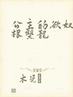 公主的欲奴h四根双龙