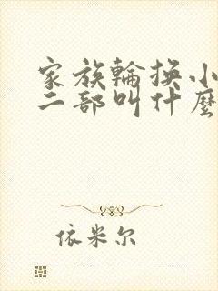 家族轮换小说第二部叫什么名字