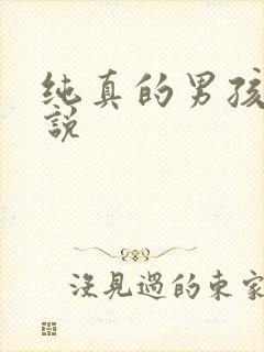 纯真的男孩子小说
