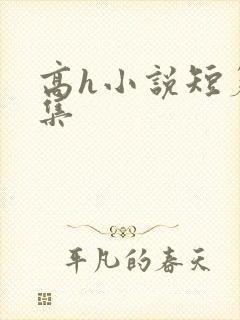 高h小说短篇合集