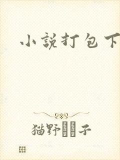 小说打包下载