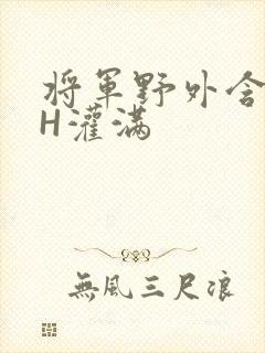 将军野外含公主H灌满