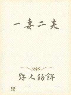 一妻二夫