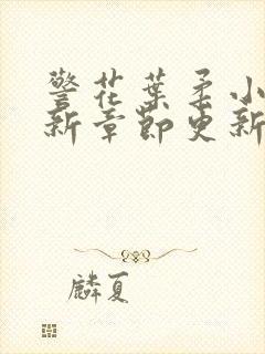 警花叶柔小说最新章节更新