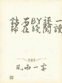 钻石BY逐一而归在线阅读