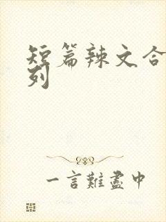 短篇辣文合集系列