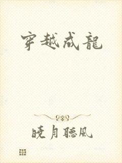 穿越成龙