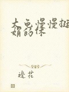 大龟慢慢挺进张娟的休