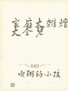 家庭大杂烩小说大全儿