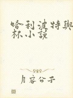 哈利波特与火焰杯小说