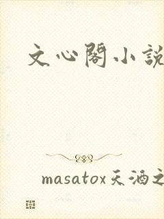 文心阁小说
