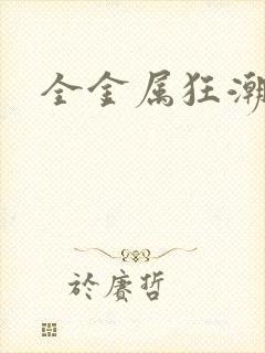 全金属狂潮小说