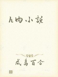 h肉小说