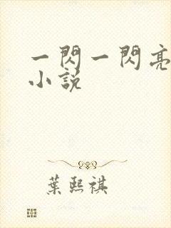 一闪一闪亮星星小说