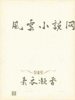 风云小说网