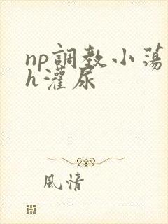 np调教小荡货h灌尿