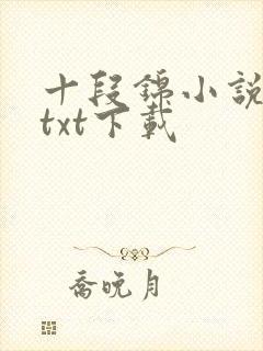 十段锦小说全本txt下载