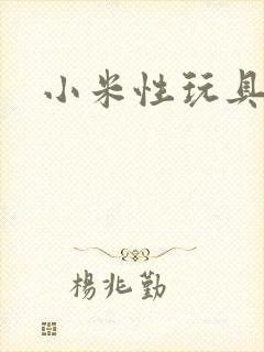 小米性玩具日记