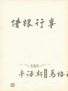 借根行事