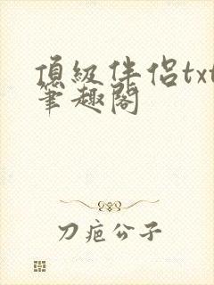 顶级伴侣txt笔趣阁