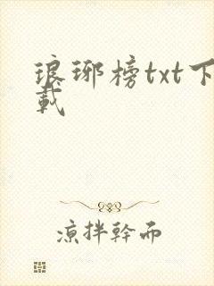 琅琊榜txt下载