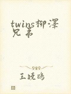 twins柳泽兄弟