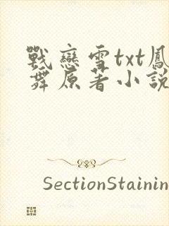 战恋雪txt凤舞原著小说