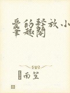 爱的释放小说 笔趣阁