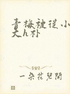 青梅被从小摸到大h补