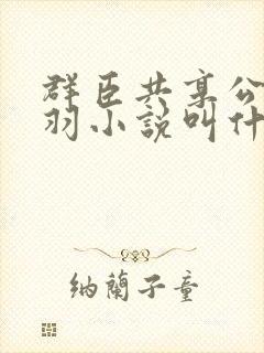 群臣共享公主银羽小说叫什么