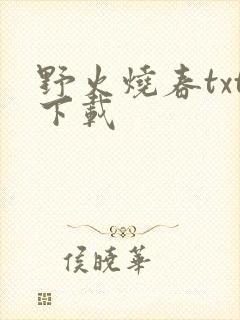 野火烧春txt下载