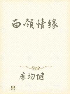白领情缘